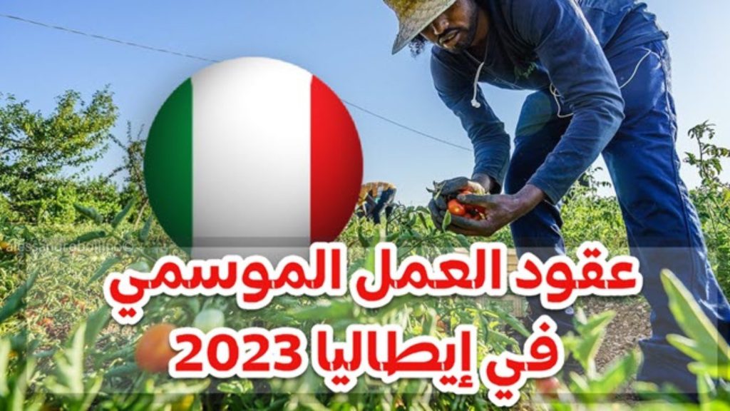 عقود العمل الموسمية بايطاليا 2023 إليكم طريقة تقديم الطلب