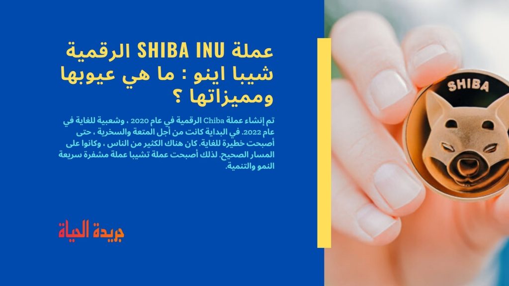 عملة SHIBA INU الرقمية شيبا اينو : ما هي عيوبها ومميزاتها ؟