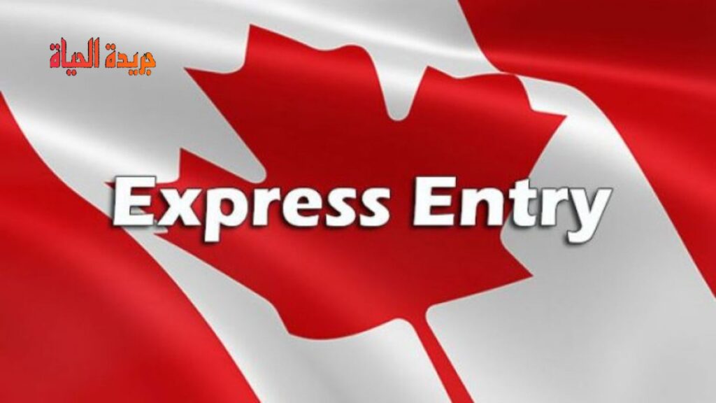 التسجيل في برنامج Express Entry بالتفصيل والهجرة إلى كندا خطوة خطوة 2023