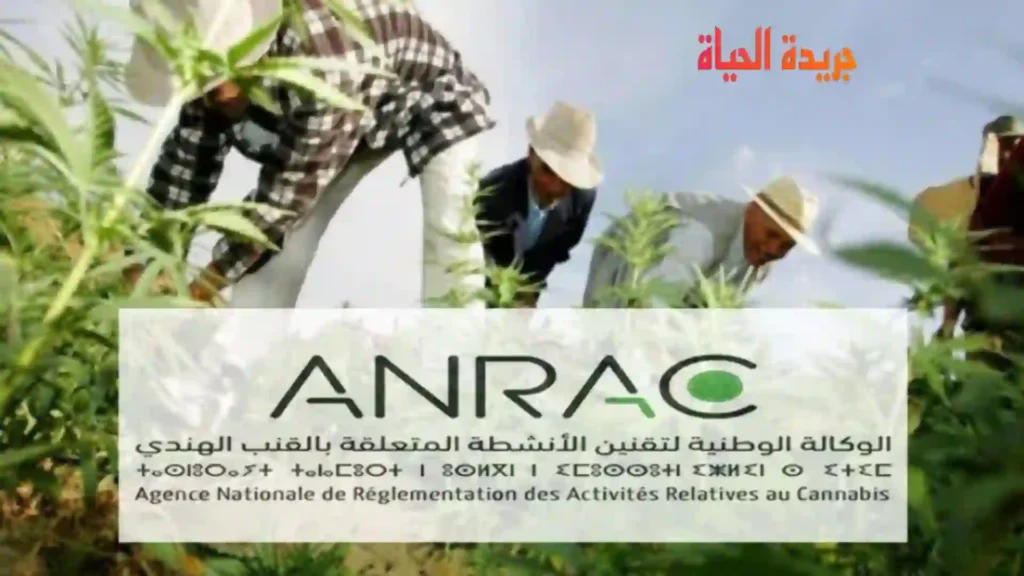 مباراة توظيف 23 منصب لدى ANRAC 2024