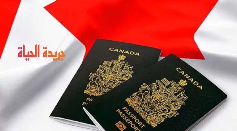 فيزا كندا للدول العربية 2024 وأسباب رفض الفيزا الكندية