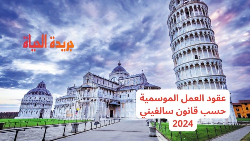 عقود العمل الموسمية حسب قانون سالفيني 2024